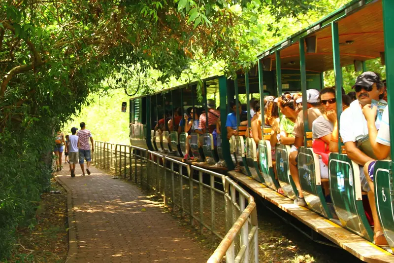 The open-sided ecological train through Iguazú National Park, full of passengers