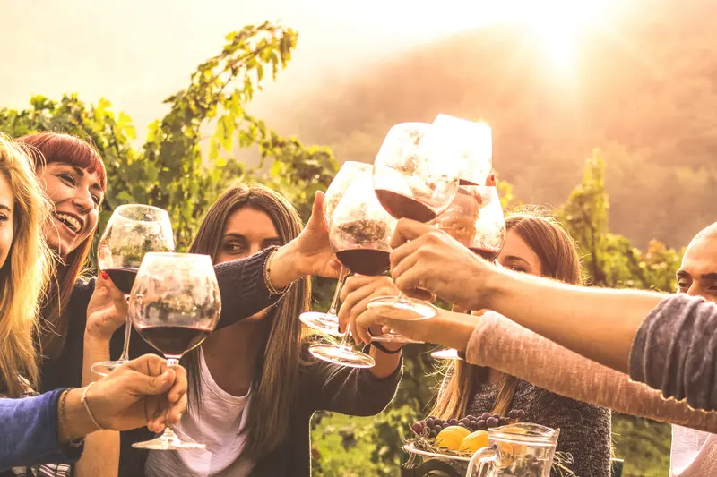 Four people raising glasses of red wine at a table among the vines