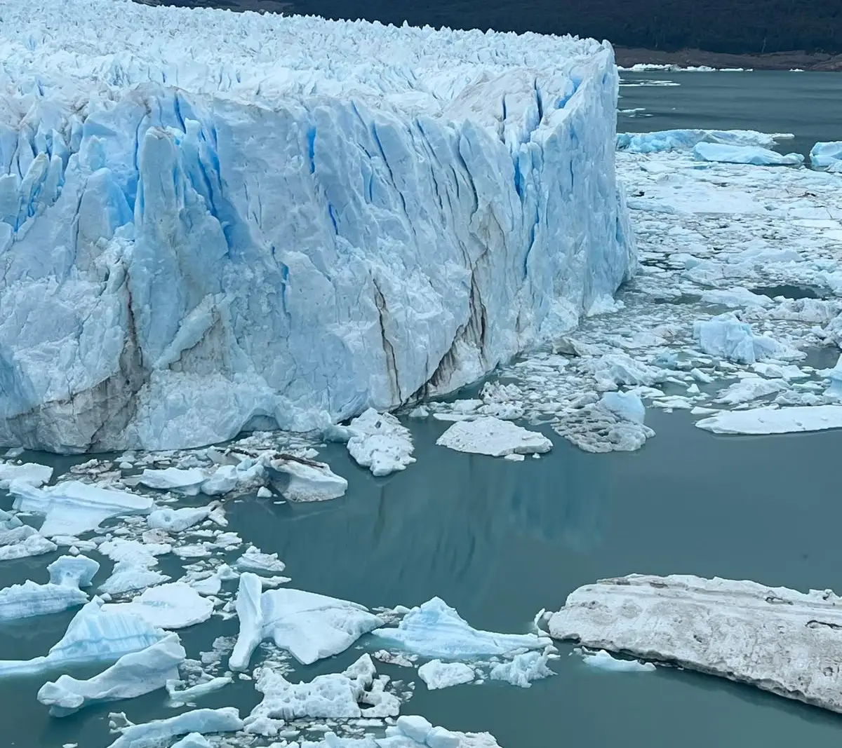 The glacier front with ice floes in the water