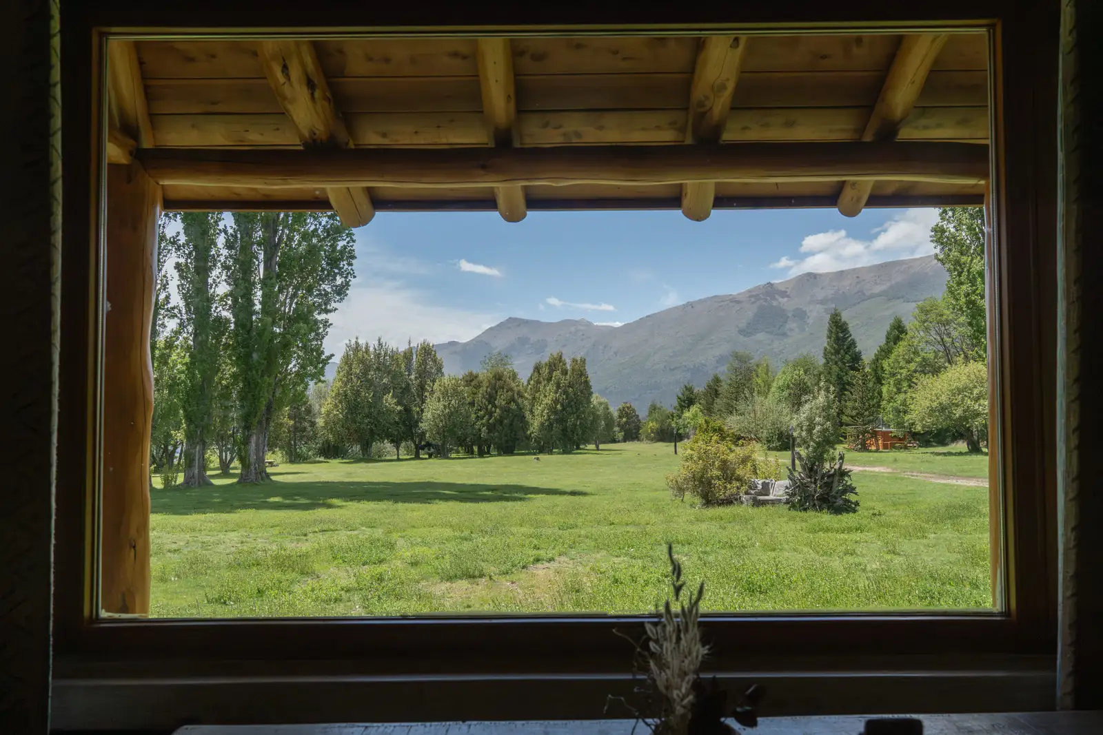 A window looking out on the lawn and the poplars