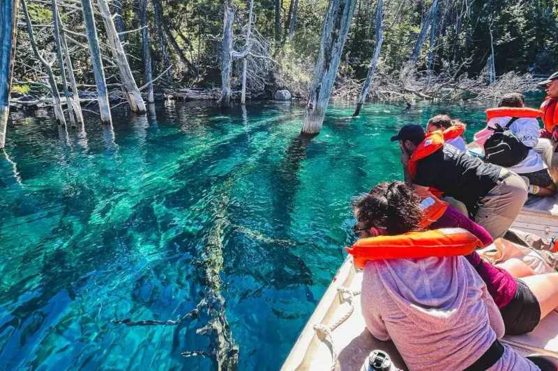 Visitors in life jackets looking down at the submerged forest through clear water