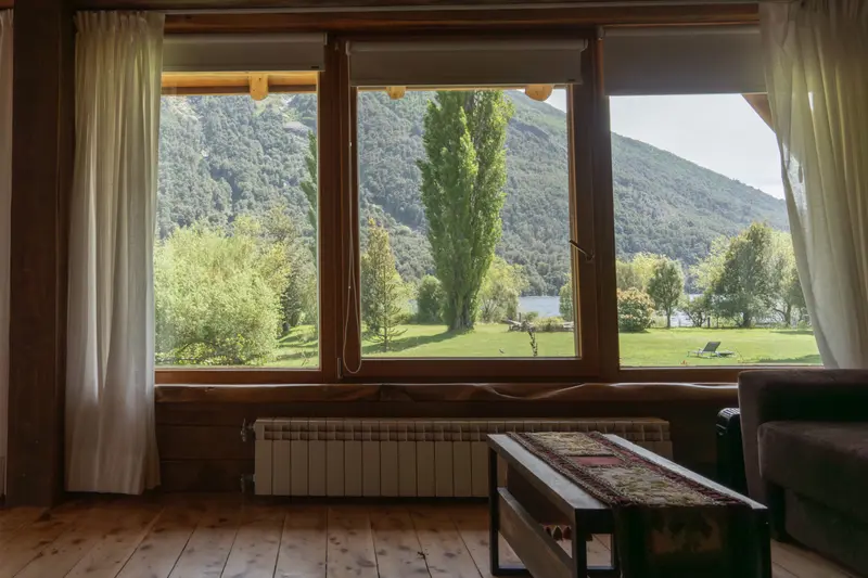 A window looking out to poplars and a hillside