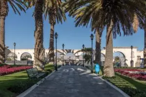 A palm-lined walk with white stone arcades behind it