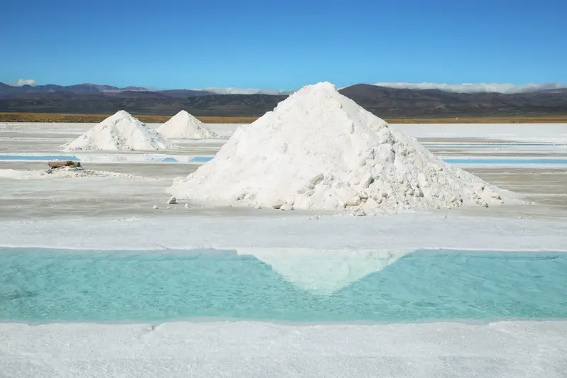 White cones of harvested salt on the salt flat