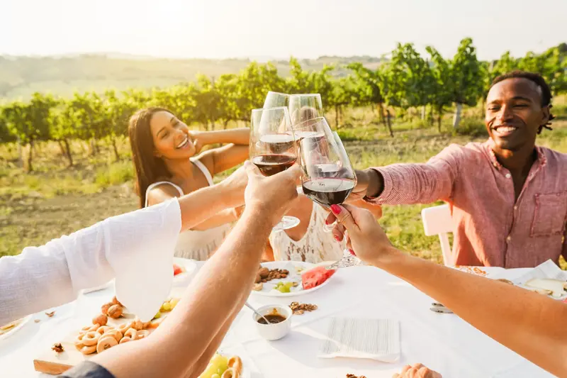 Four people raising glasses of wine at a table among the vines
