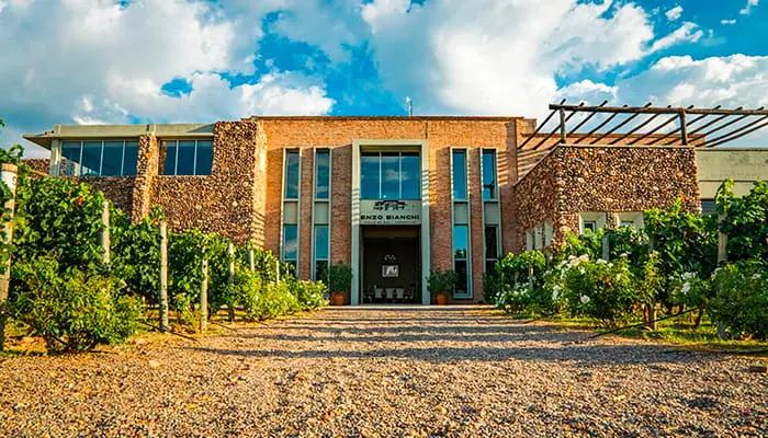 A modern winery building with vines planted up to it