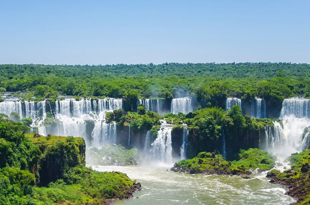 The falls in a line across the forest