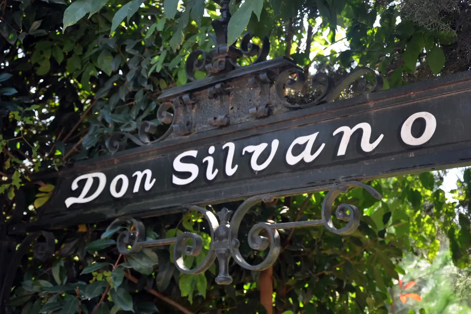Don Silvano