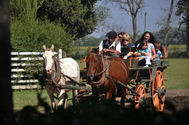 Horse Riding 