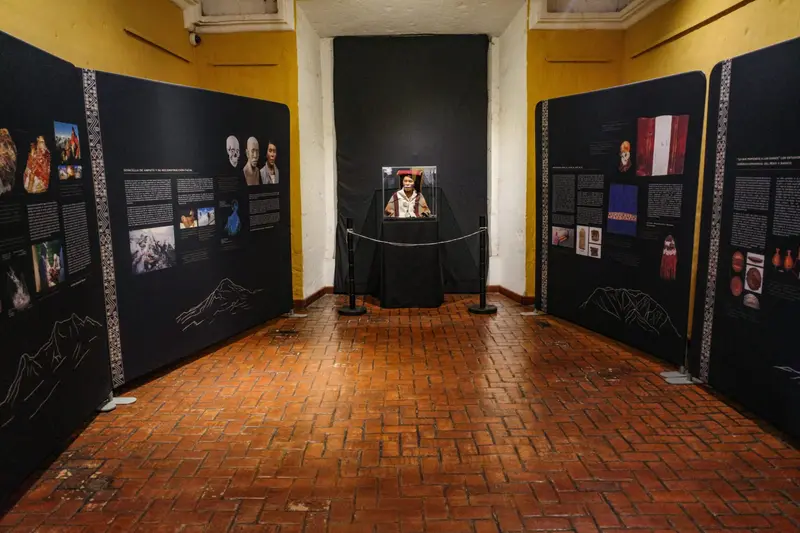 A museum room with wall panels and a lit display case
