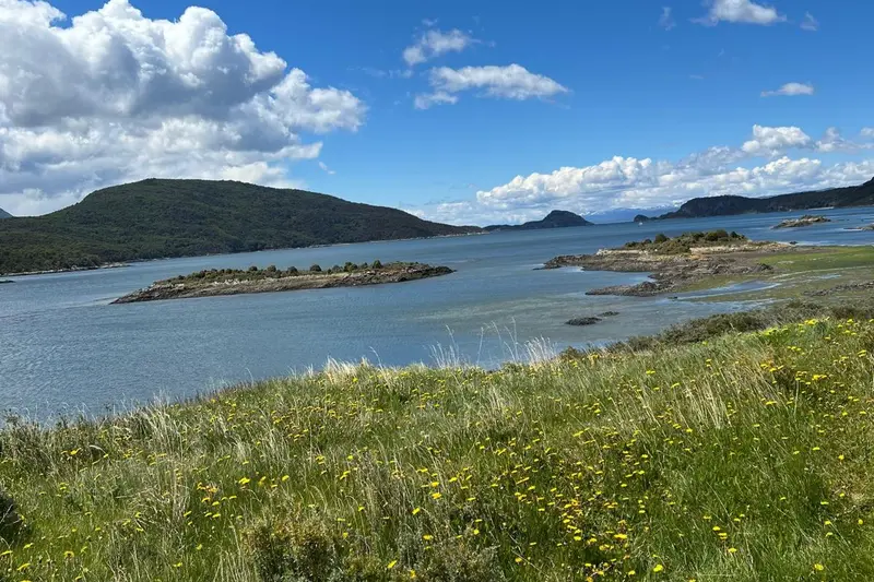 A lake with low islands and green shore