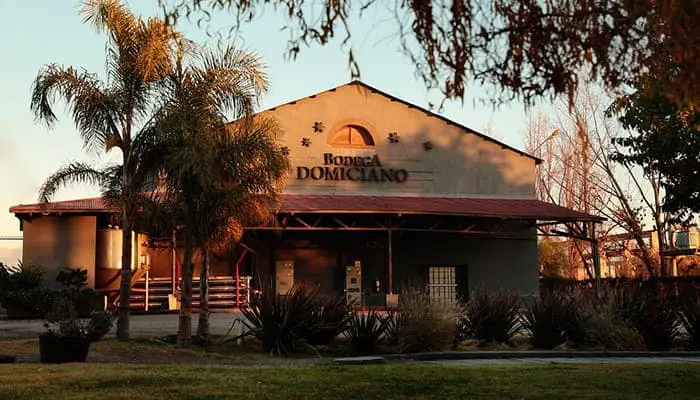 The Bodega Domiciano building, with palms in front of it