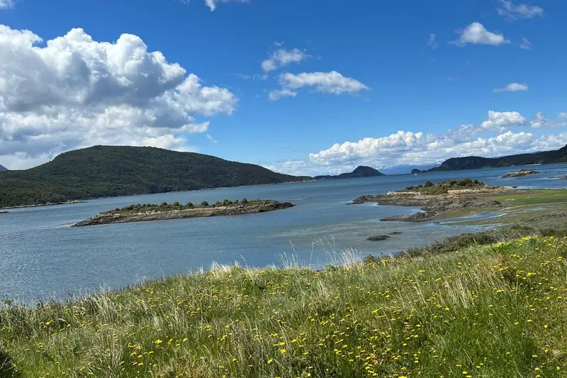 A lake with low islands and a green shore