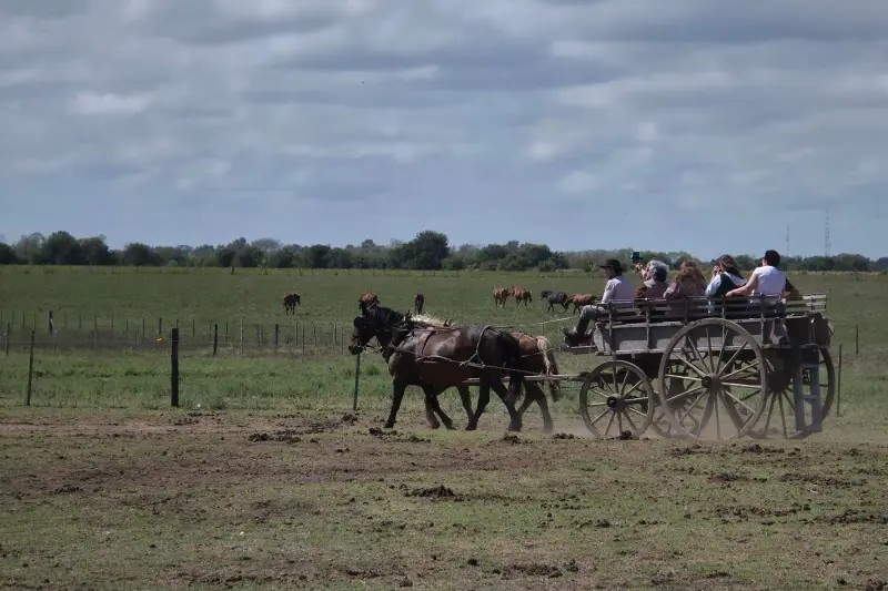 A horse-drawn carriage crossing the field