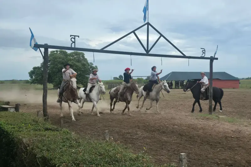 Gauchos riding in the ring, with flags above them