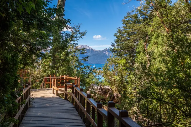 A boardwalk through the trees above the lake