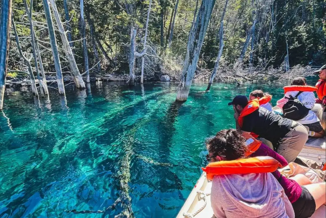Passengers on a boat over the clear water of the submerged forest